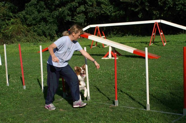 agility 2011-08
